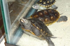 bayard-DSC00391_1893986340