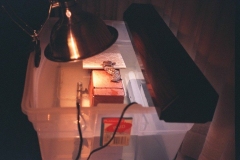 Hatchling-Set-up-2