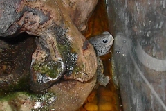 baby-close-up_1431931791