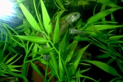 Post-tooth-fairy-visit_753928275