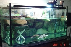 tank1_661038038