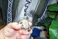 Picture-015_485920401