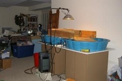 Basking-setup_931069143