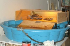 Finally-tried-it_1996307974