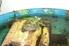 Just-the-two-of-us_1669383001