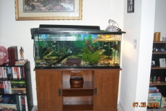 DudeTank