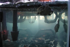 GaryandDennis-18_996207552