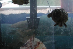 GaryandDennis-28_835310560