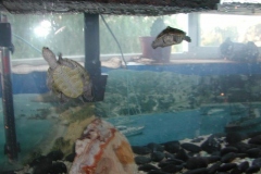 GaryandDennis-4_1847154788