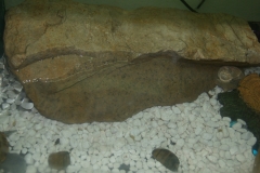 misc-rock-2