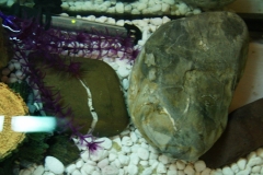 misc-rock-3