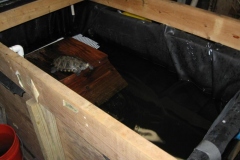 vat_1058793555