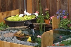Pinchy-on-the-dock_1169945533