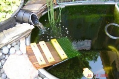 The-Ramp_788237900
