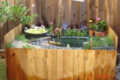 The-new-pond-is-finally-done_1546079717