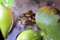 Best-Picture_654085236