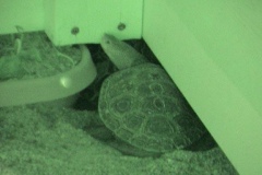 Two-boys-in-corner_1699732645