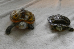 John39s-Iphone-1268