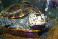 another-view_486460517