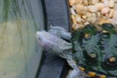 Macro-1_1257625639