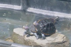 we-are-so-cool_1520355525