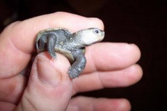 000_0018_0001_1207339060