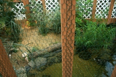 Diamondback-terrapin-enclosure_1314542332