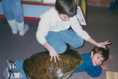 In-another-life-I-was-prob.-a-turtle_1985462481