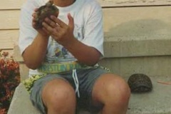 Little-me-w_-2-eastern-box-turtles_1802155816