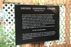 Terrapin-sign_950088721
