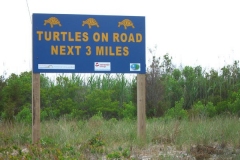 Turtle-crossing-sign_1553213208