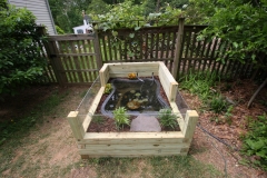 Pond_1