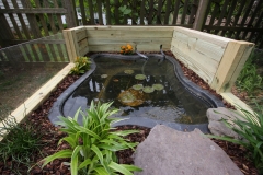 Pond_4