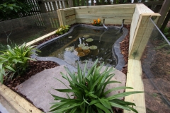 Pond_5
