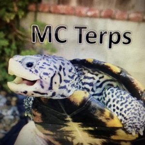MC Terps